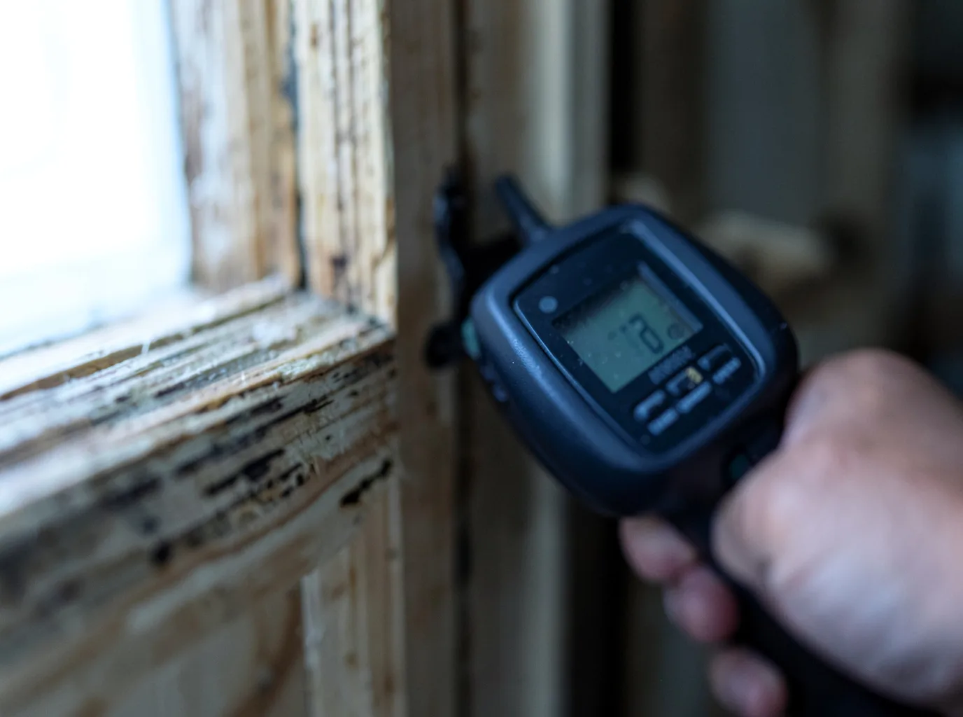 Moisture Inspection And Documentation in White Lake, NY